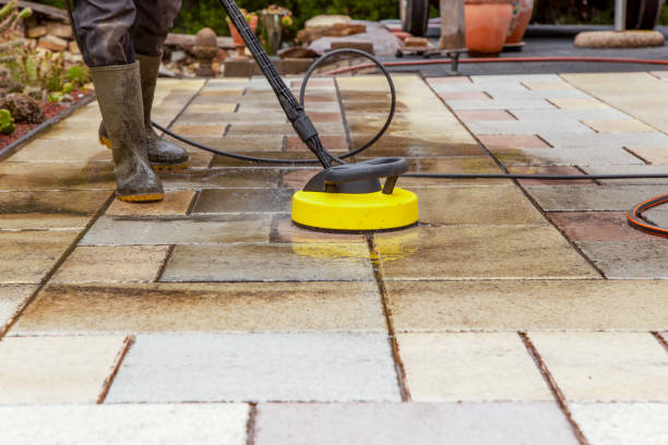 Best Animal Enclosure Cleaning  in Lexington, SC